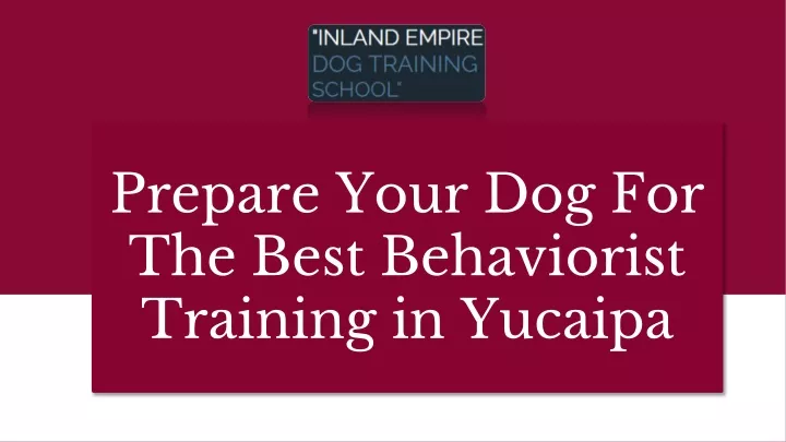 prepare your dog for the best behaviorist