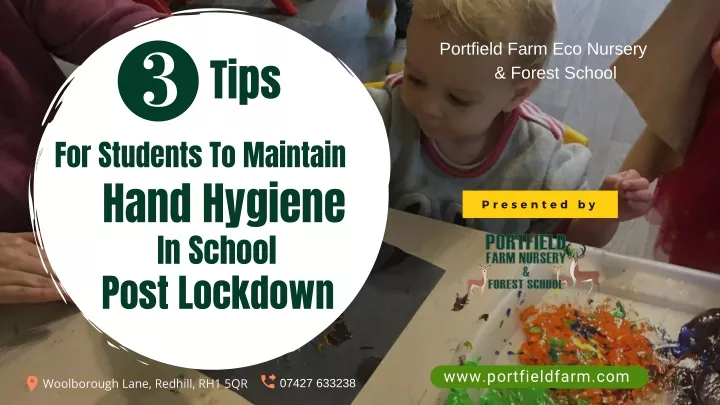 portfield farm eco nursery forest school