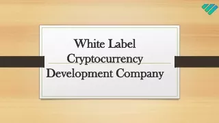 Best Cryptocurrency Development Company In Asia | Blockchain App Factory