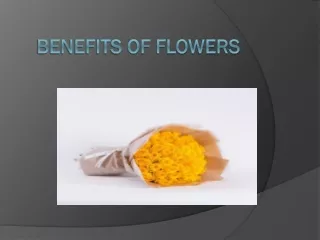 Benefits of flowers