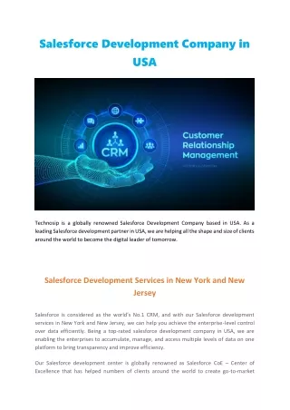 salesforce development company in usa