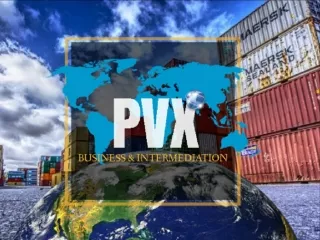 PVX BUSINESS & INTERMEDIATION