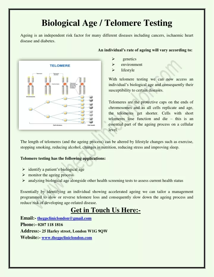 biological age telomere testing