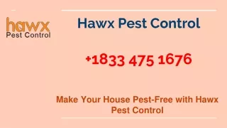 hawx pest control 1833 475 1676