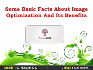 Some Basic Facts About Image Optimization And Its Benefits