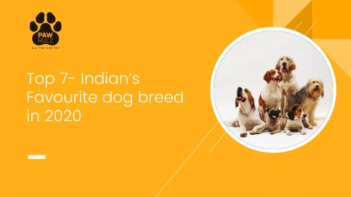 top 7 indian s favourite dog breed in 2020