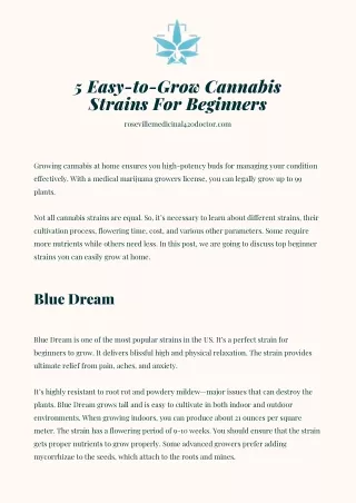 5 Easy-to-Grow Cannabis Strains For Beginners