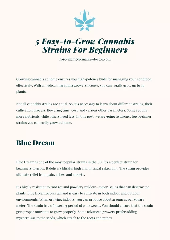 5 easy to grow cannabis strains for beginners