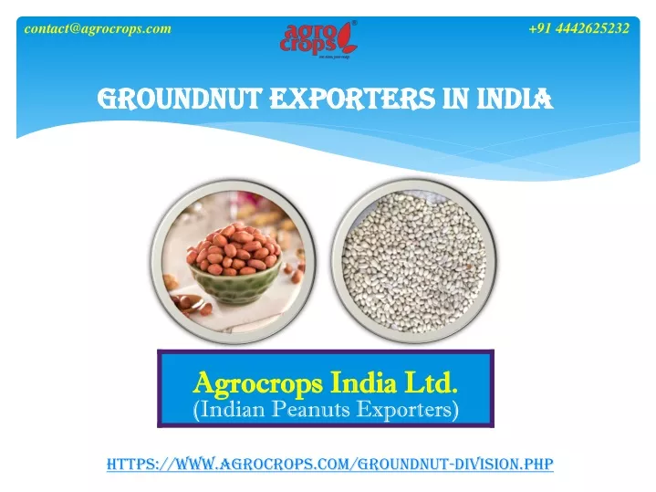 groundnut exporters in india