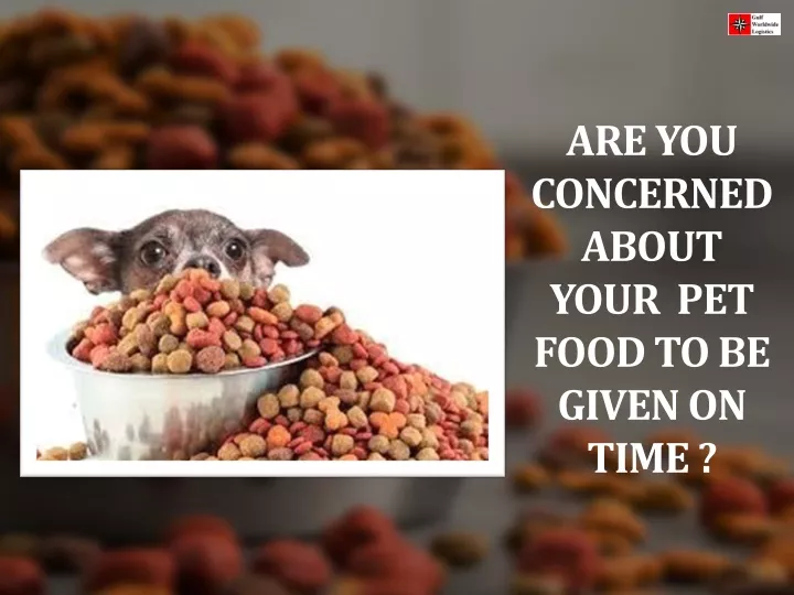 are you concerned about your pet food to be given on time