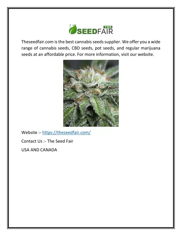 theseedfair com is the best cannabis seeds