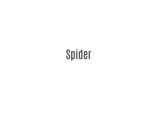 Spider