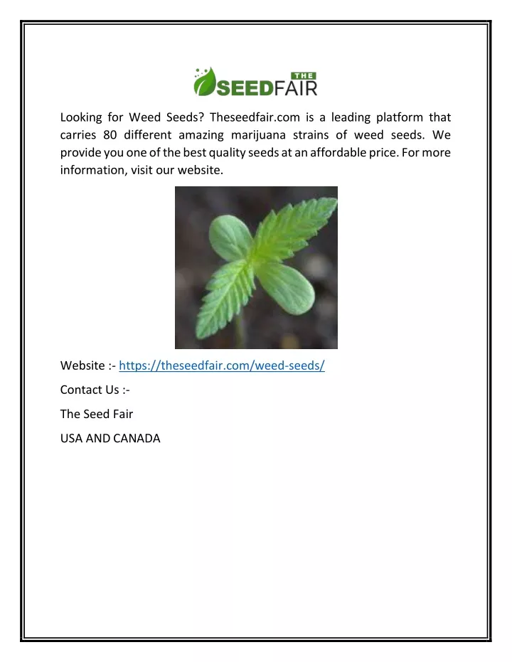 looking for weed seeds theseedfair