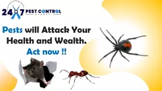 Pests will Attack Your Health and Wealth - Act now with 24*7 Pest Control