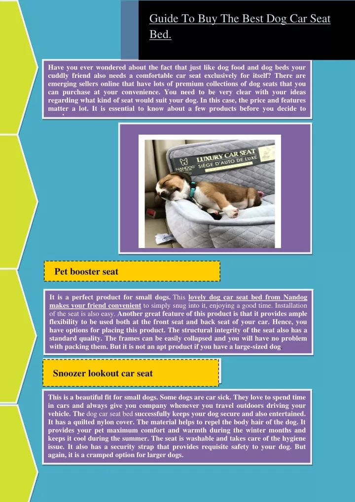 guide to buy the best dog car seat bed