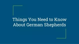 Things You Need to Know About German Shepherds