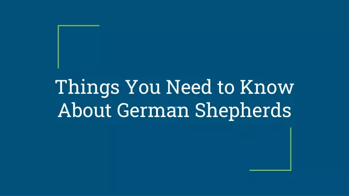 things you need to know about german shepherds