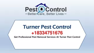 turner pest control turner pest control