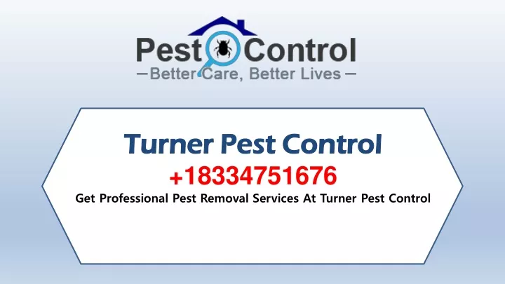 turner pest control turner pest control