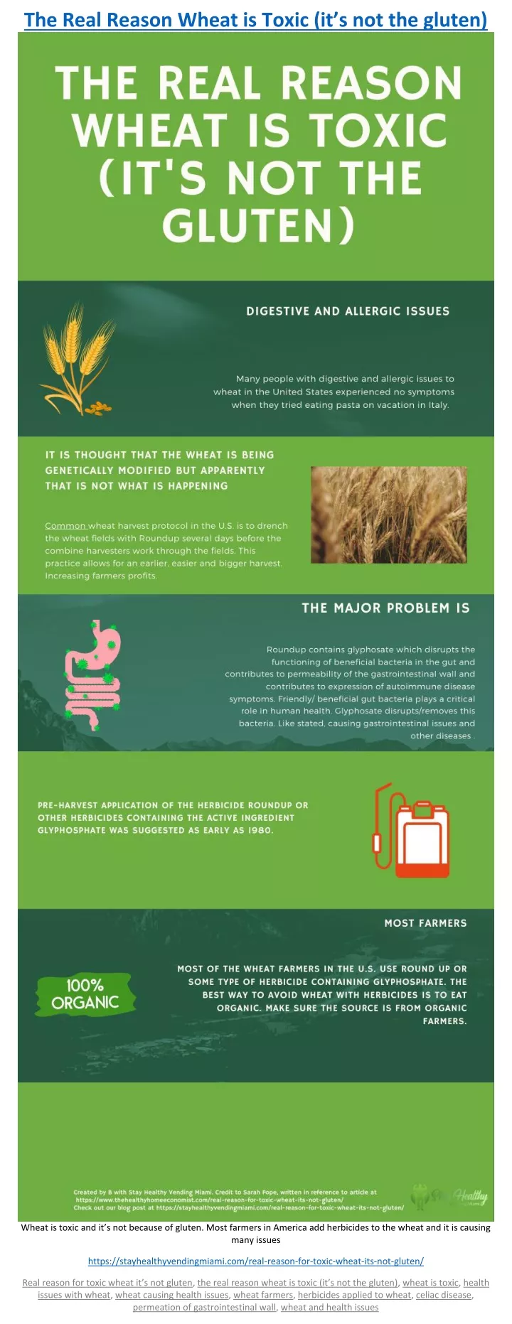 the real reason wheat is toxic it s not the gluten