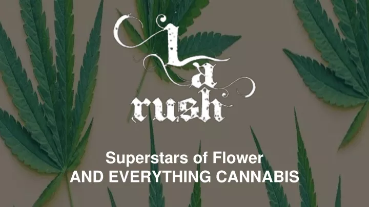 superstars of flower and everything cannabis