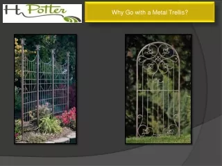 Why Go with a Metal Trellis?