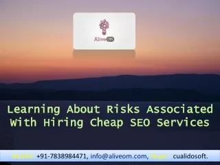 Learning About Risks Associated With Hiring Cheap SEO Services