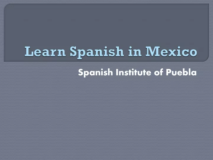 learn spanish in mexico
