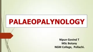 palaeopalynology
