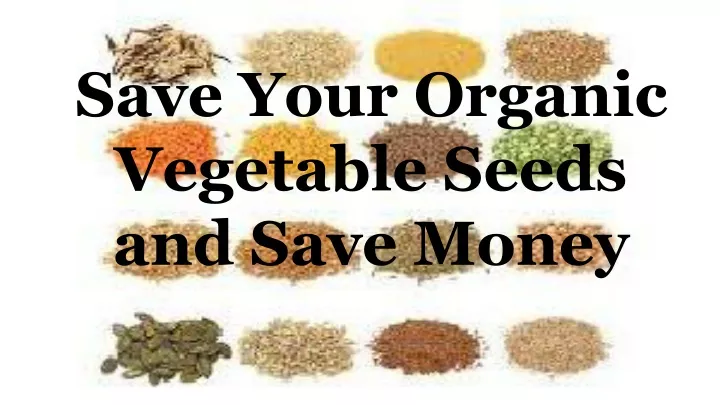 save your organic vegetable seeds and save money