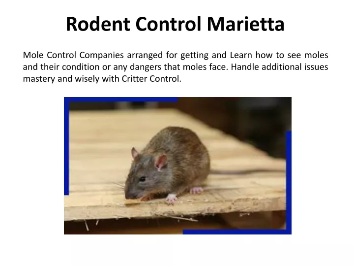 rodent control marietta