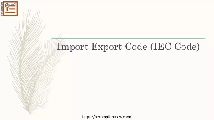 import export code iec code