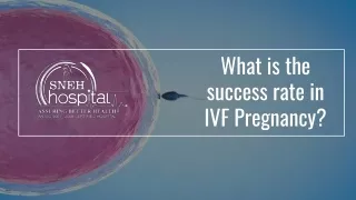 What is the success rate in IVF Pregnancy?