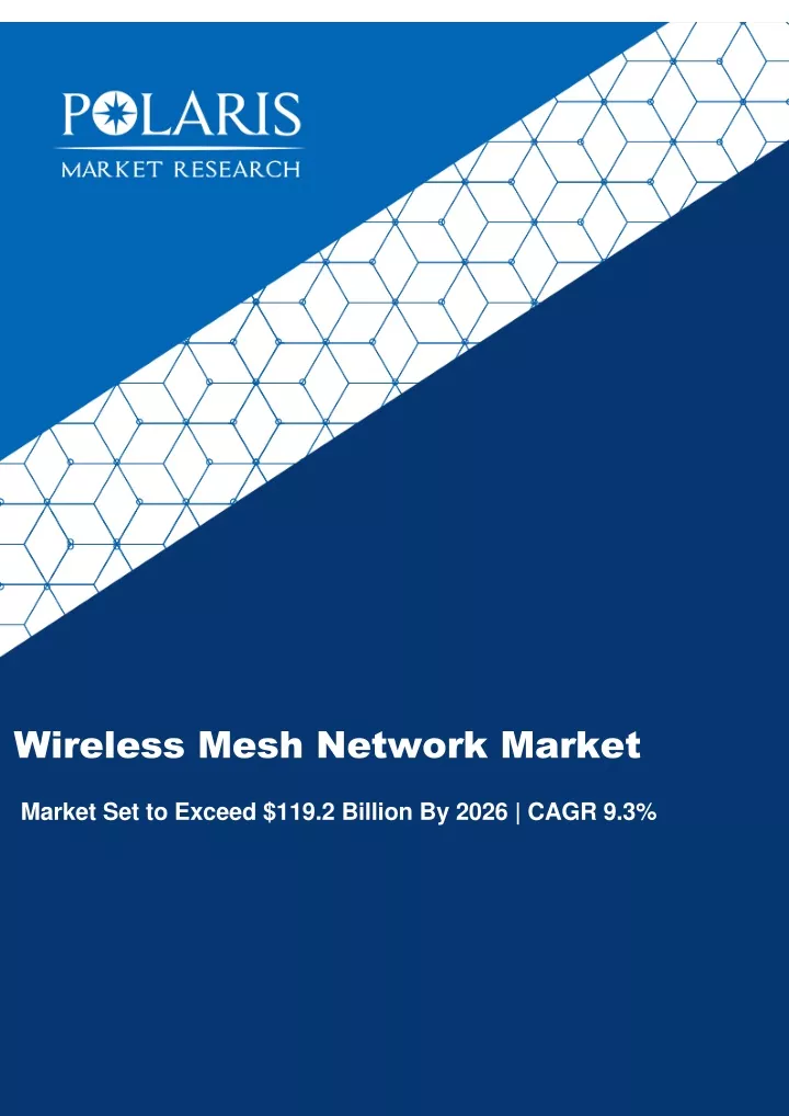 wireless mesh network market