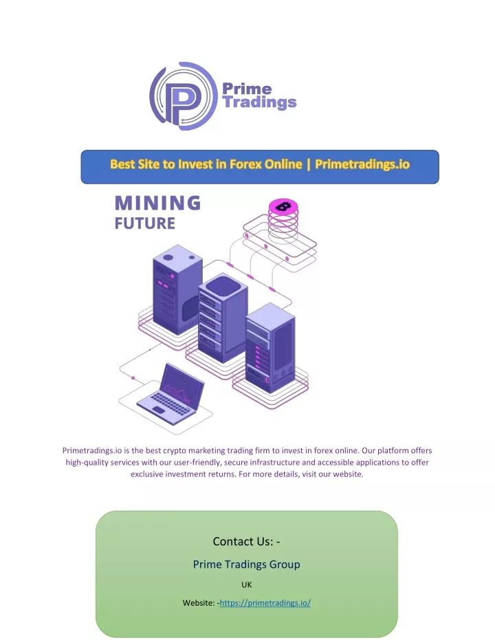 primetradings io is the best crypto marketing