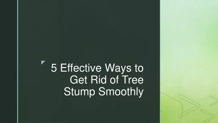 5 effective ways to get rid of tree stump smoothly