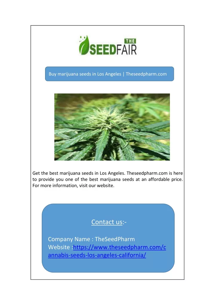 buy marijuana seeds in los angeles theseedpharm