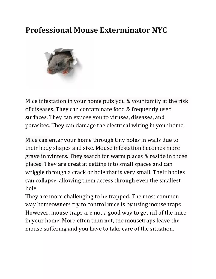 professional mouse exterminator nyc