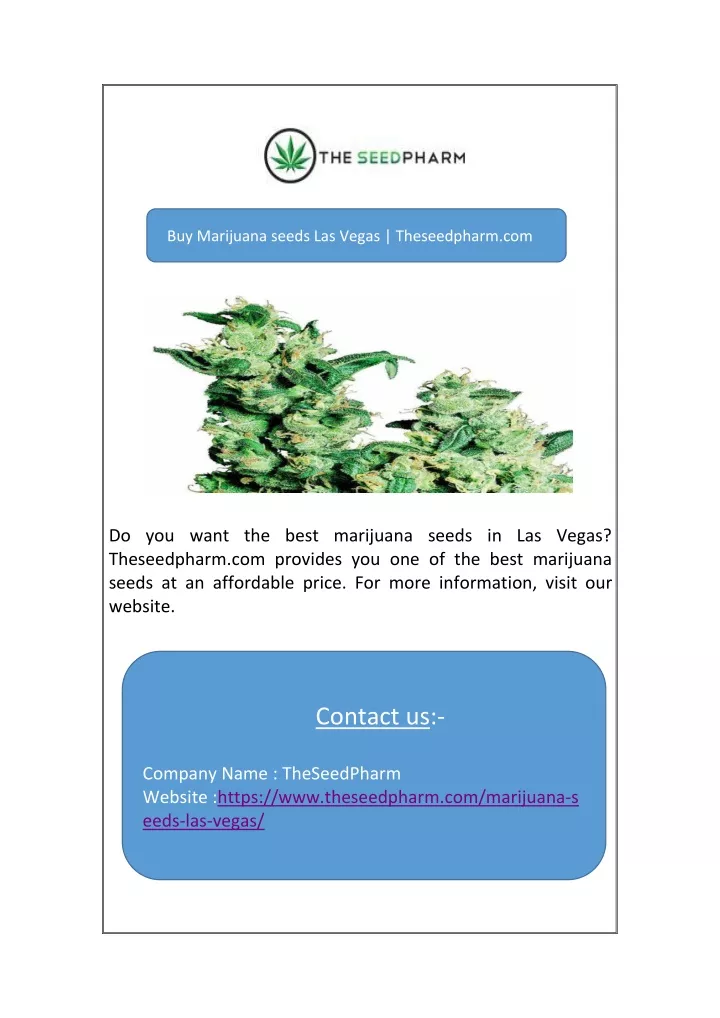 buy marijuana seeds las vegas theseedpharm com