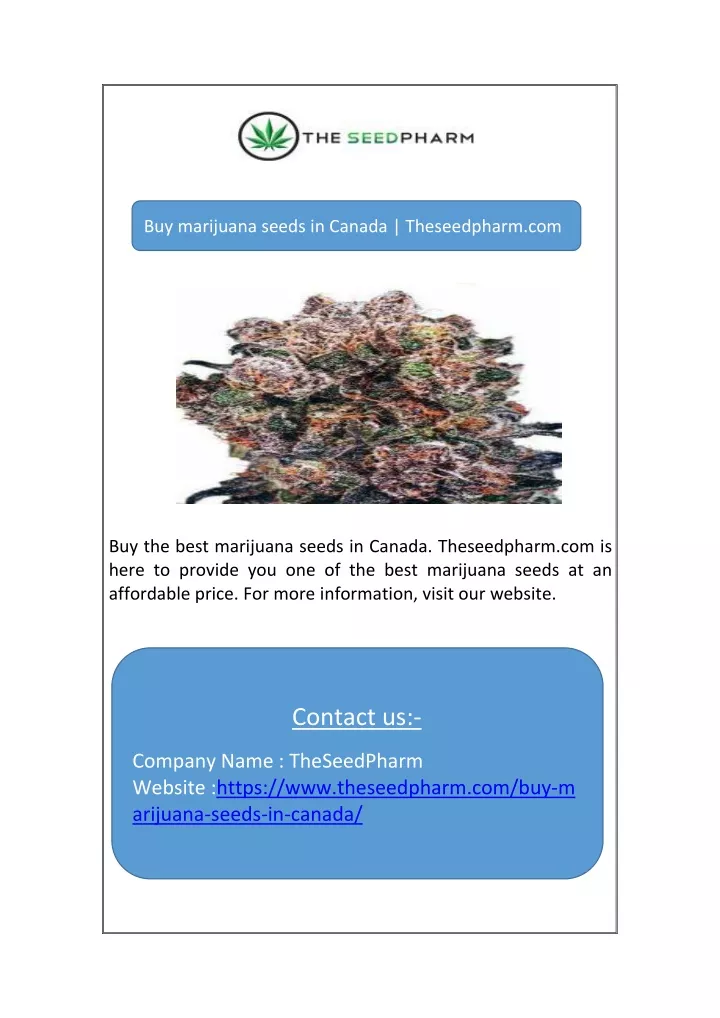 buy marijuana seeds in canada theseedpharm com