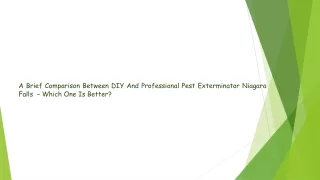 A Brief Comparison Between DIY And Professional Pest Exterminator Niagara Falls  – Which One Is Better?