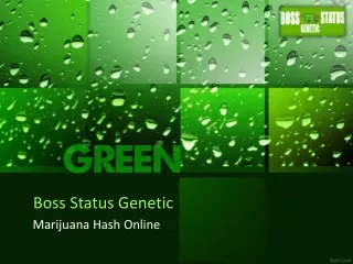 boss status genetic