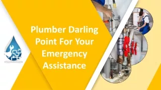 Plumber Darling Point For Your Emergency Assistance