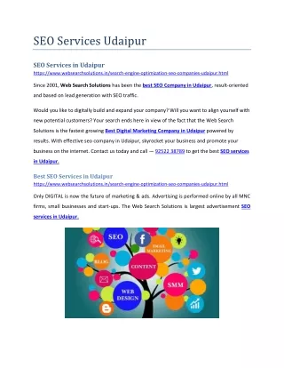 seo services udaipur