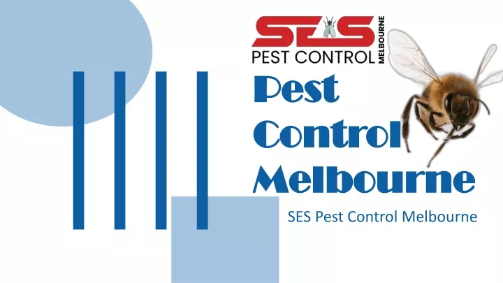 pest control melbourne