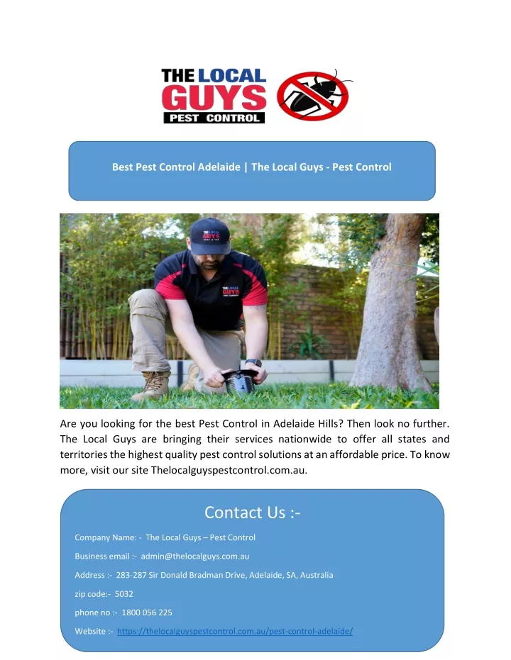 best pest control adelaide the local guys pest