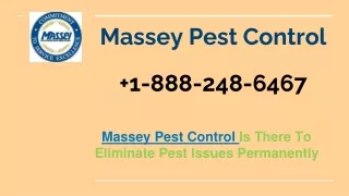 massey pest control
