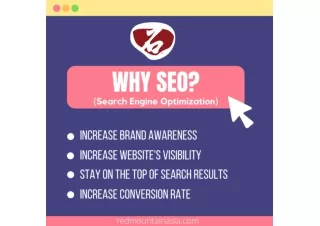 4 Reasons Why SEO is Important | RedMountain Asia