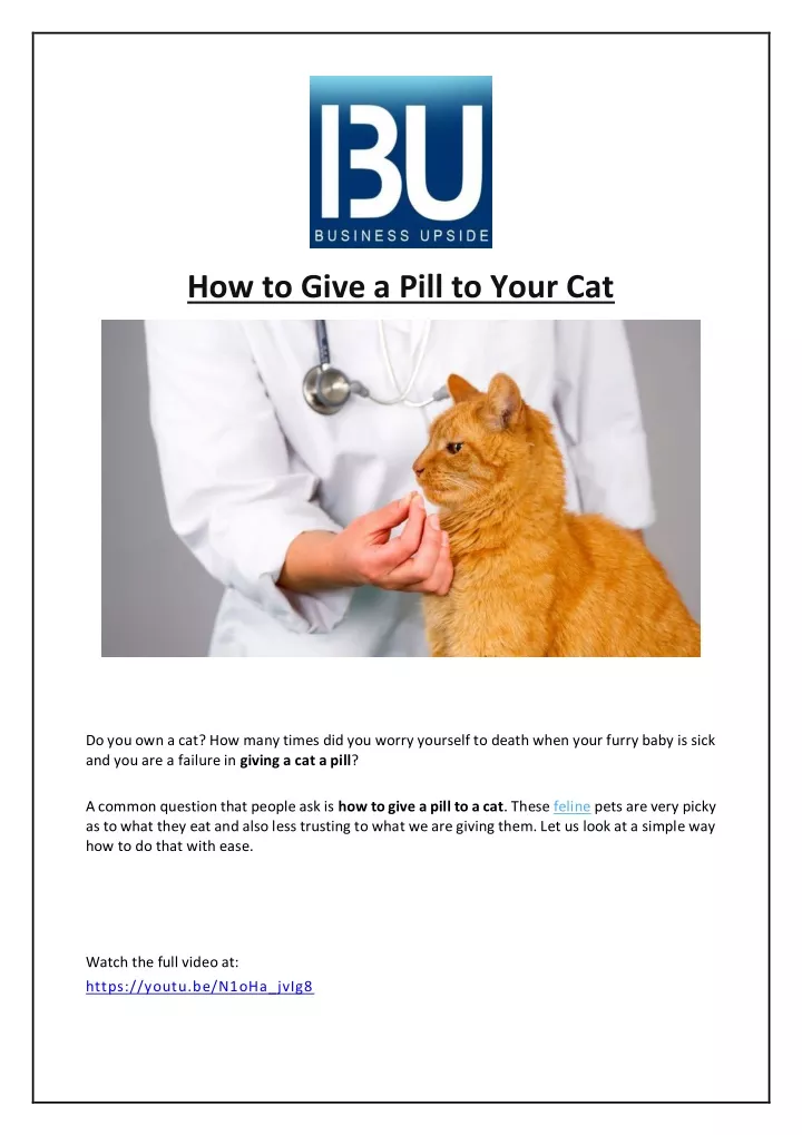 how to give a pill to your cat