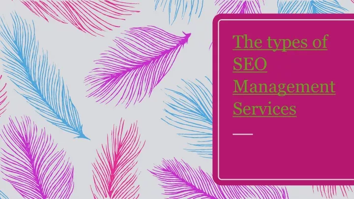 the types of seo management s ervices